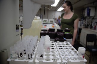 Tubes awaiting samples in the hydro-lab of the Roger Revelle. Scripps ODF Chemistry Technician Erin hunt monitors her samples in the background.